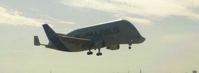 "Beluga landing at Sevilla"
